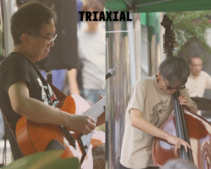 Triaxial